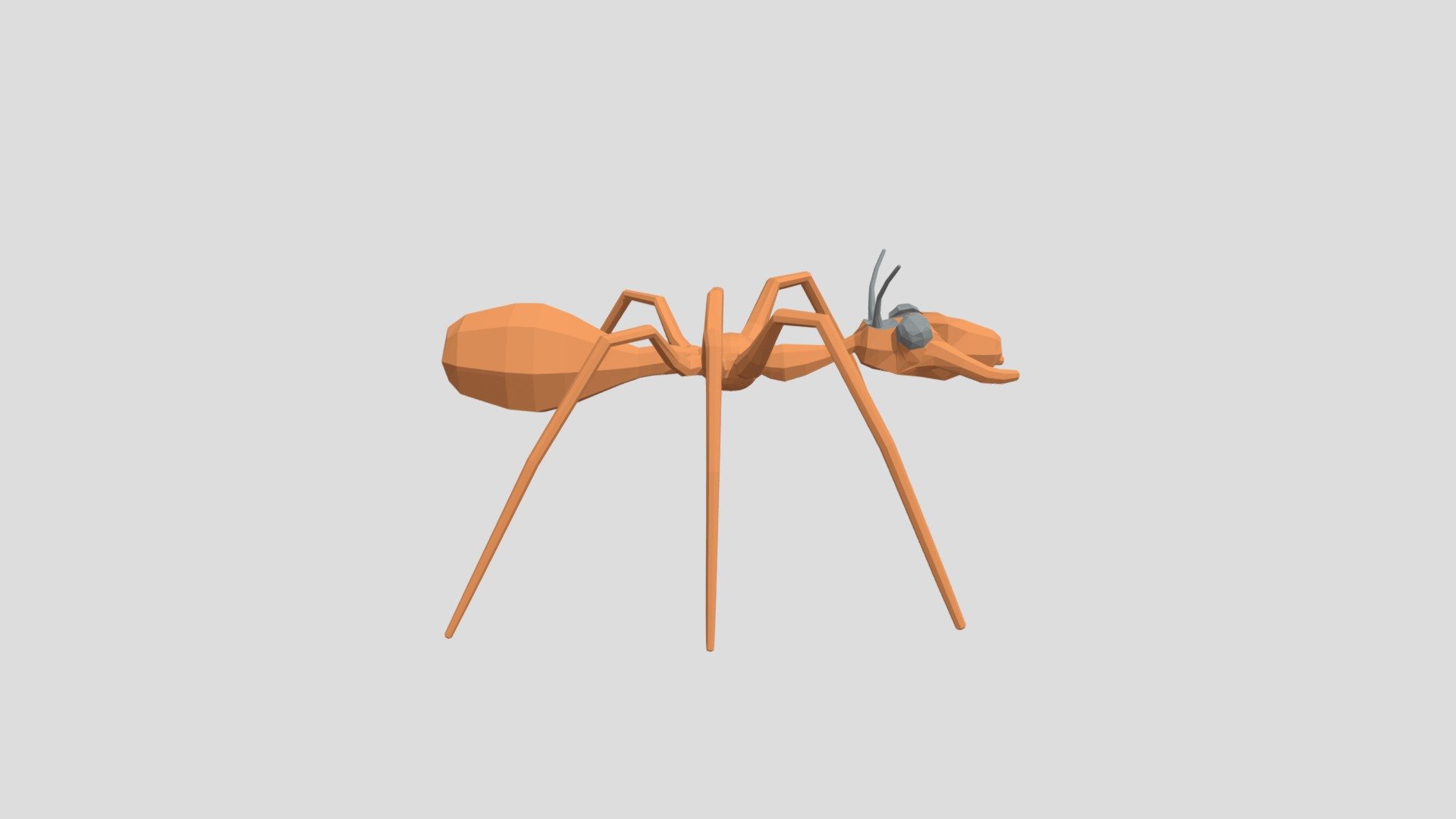 Ant from Poly by Google