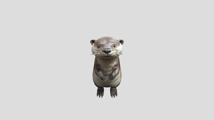 Mike the otter 3D Model