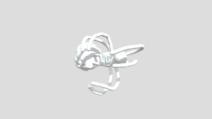 Spidy 3D Model