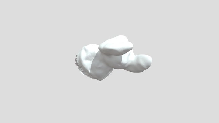 OBJKOALA 3D Model