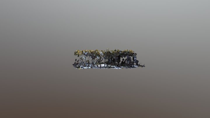 Šilelis Forest Camp 3D Model