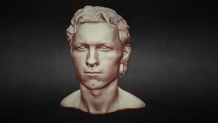 Tom holland head 3D Model
