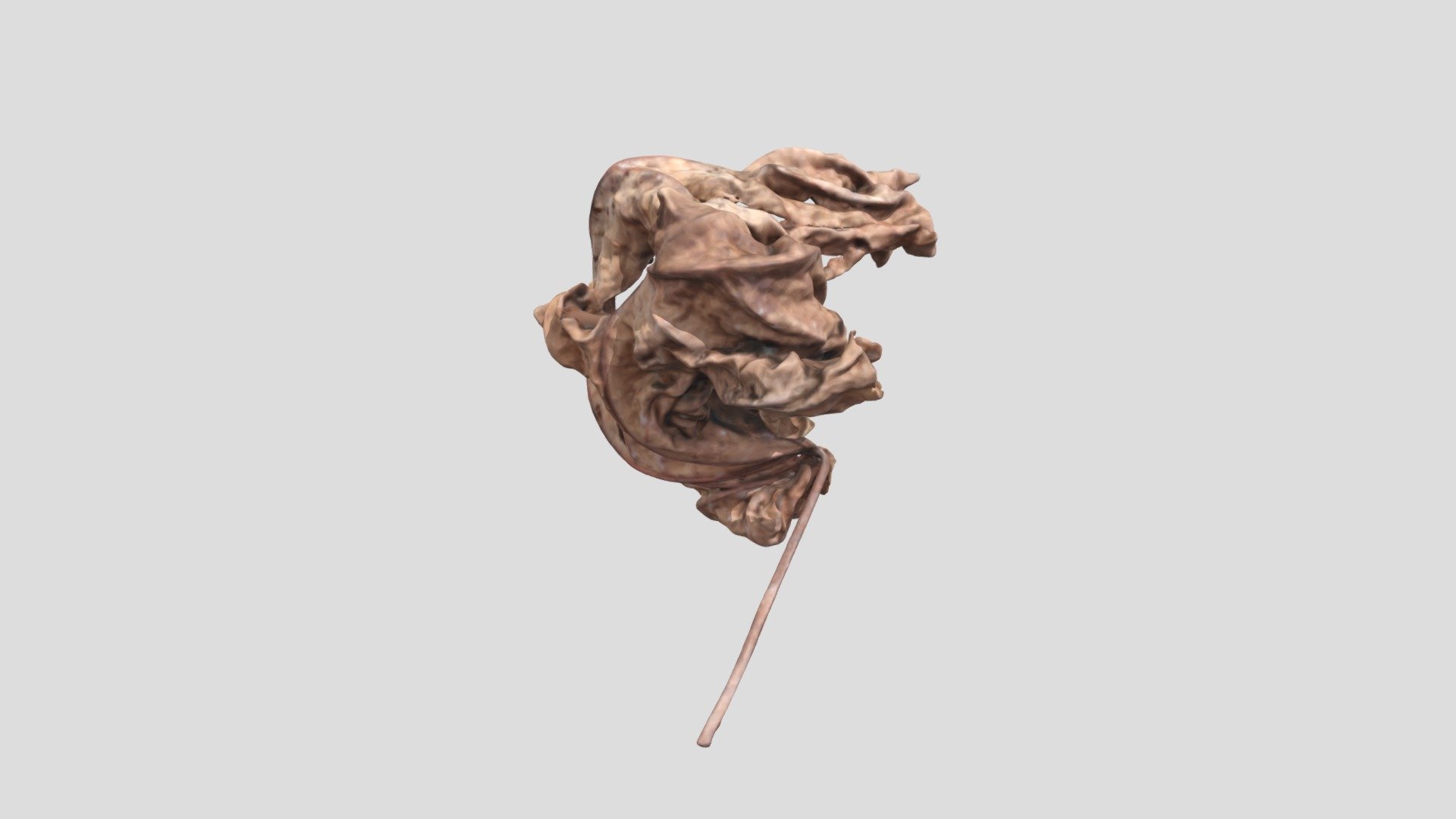 Dry Leaf