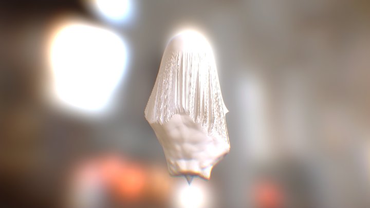Veil 3D Model