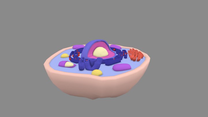 Celula Animal 3D Model