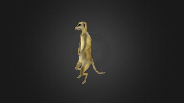 Meerkat 3D Model
