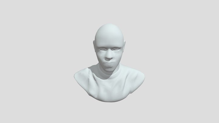 Sculpt_ Low 3D Model