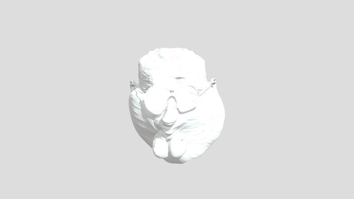 peter Griffin action figure head 2 for 3D Printi