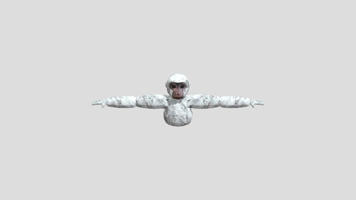 Cebus Model 3D Model