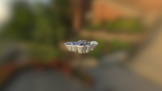 Shell 3D Model