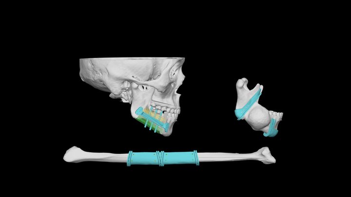 盧O誠 3D Model