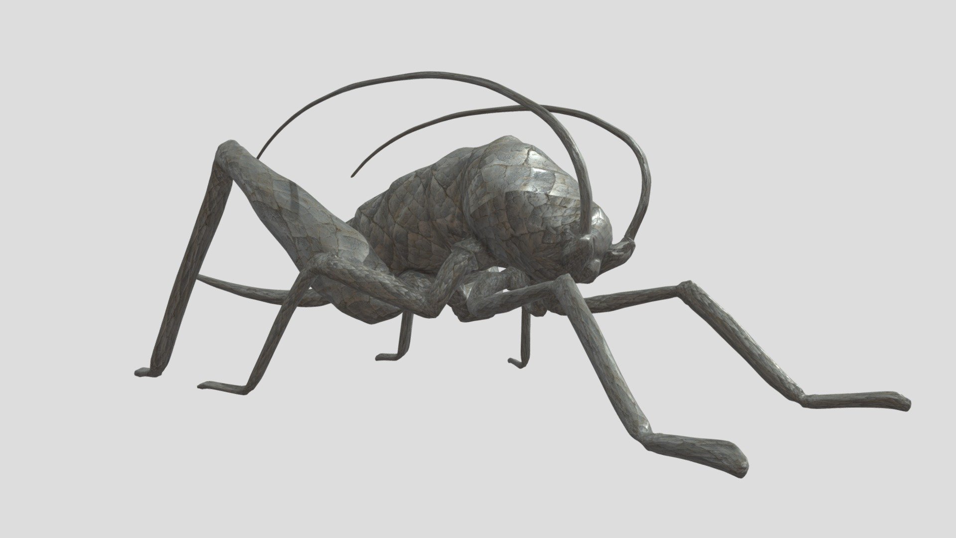 Procedural SVERCHOK Cricket Diamond