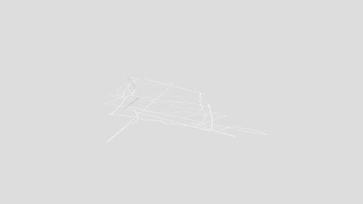 chole 3D Model