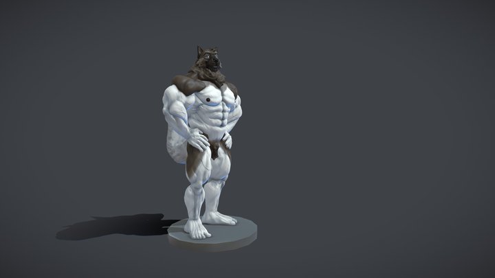 Akita 3D Model