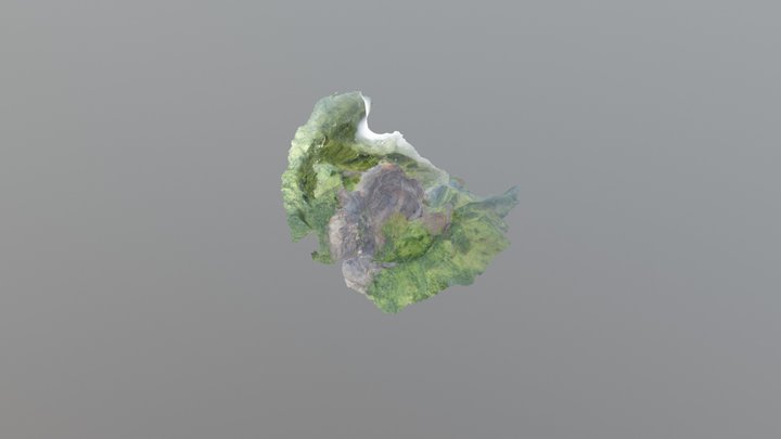 Falaise Samperre 8 mars 2018 3D Model