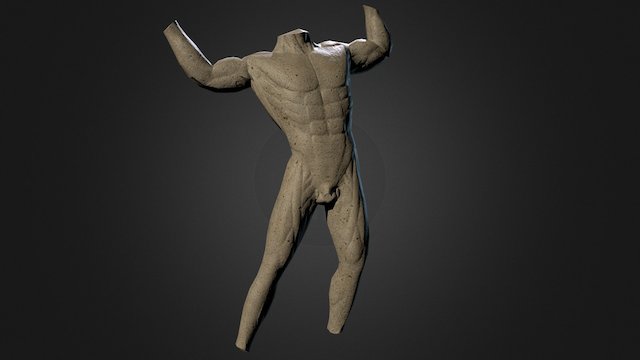 Male body Anatomical sculpture 3D Model