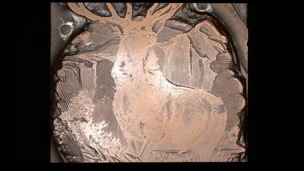 Deer Stamp Normal Map RTI & Specular