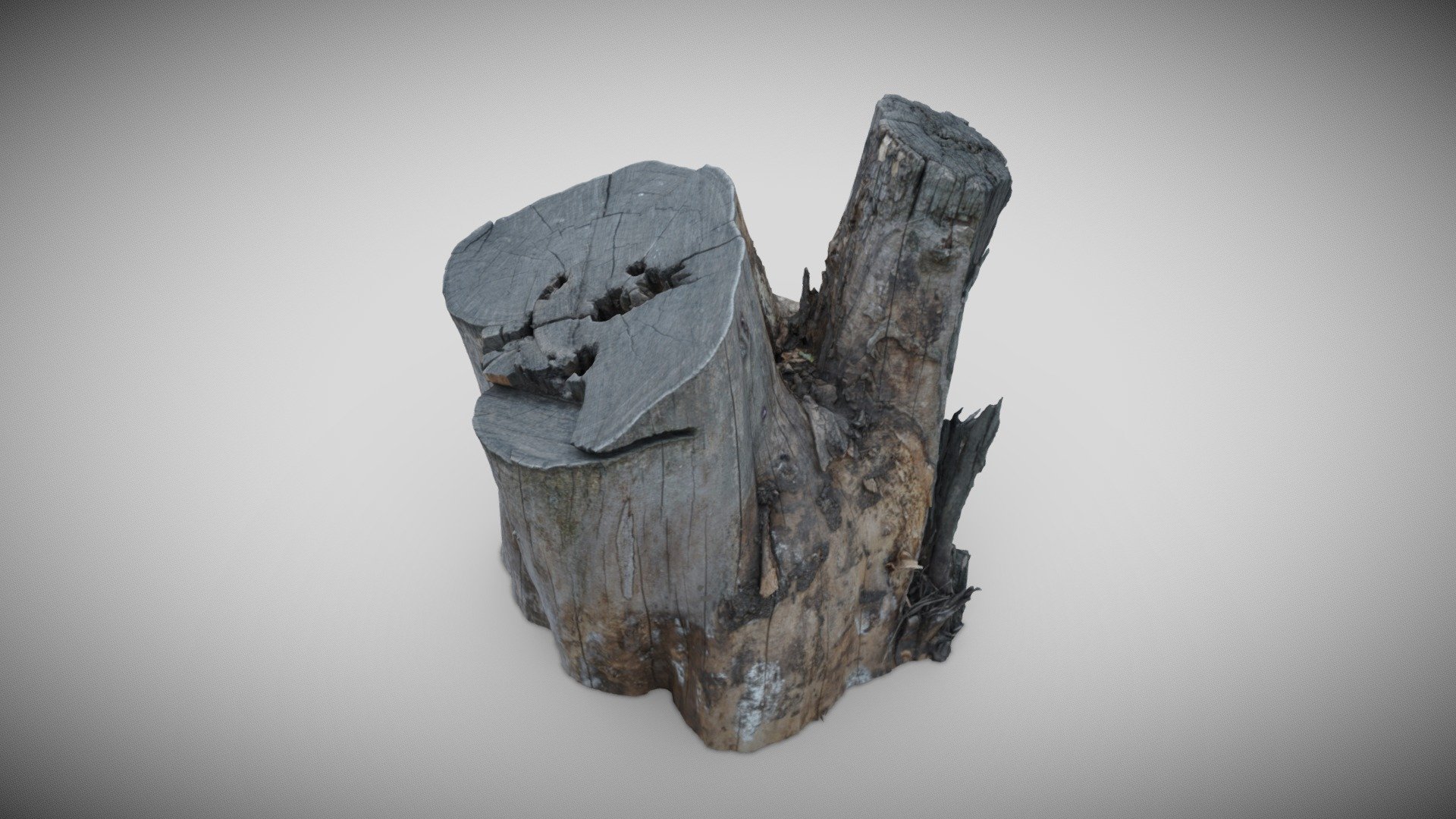 Big Stump Scan