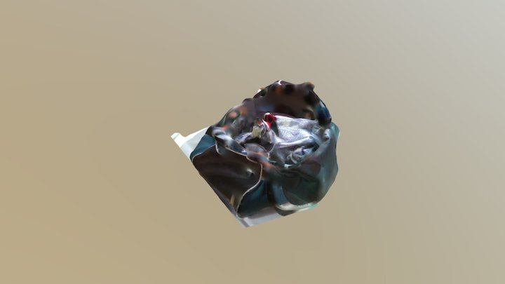 maleta 3D Model