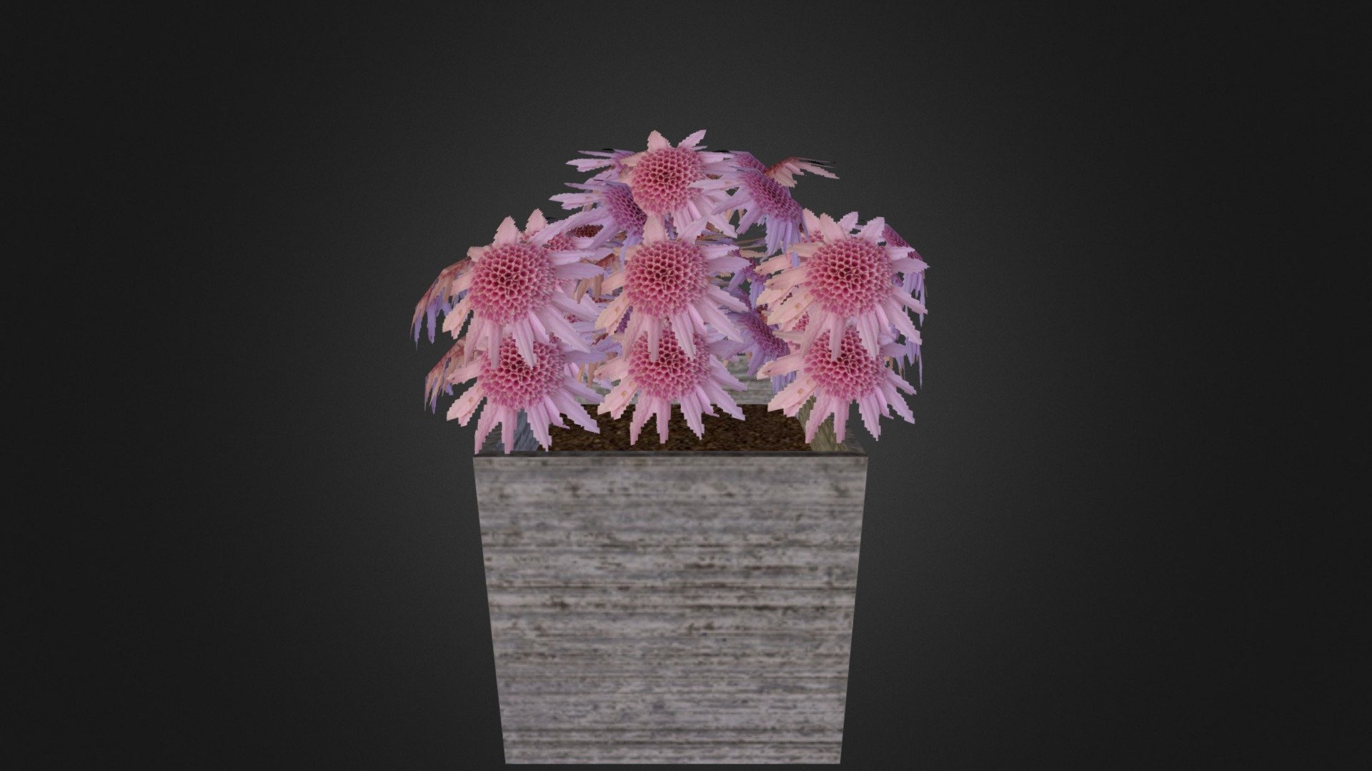 Flower1 DAE EX1