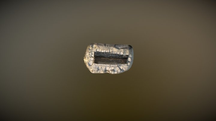Tomba 16 3D Model