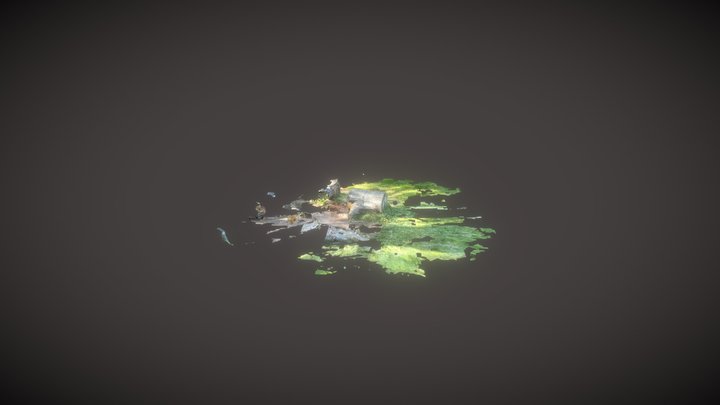 Untitled Scan 3D Model
