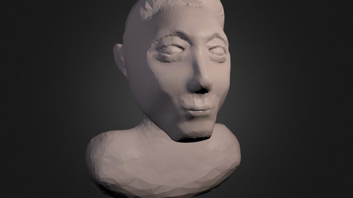 Sculpt Practice  01 3D Model