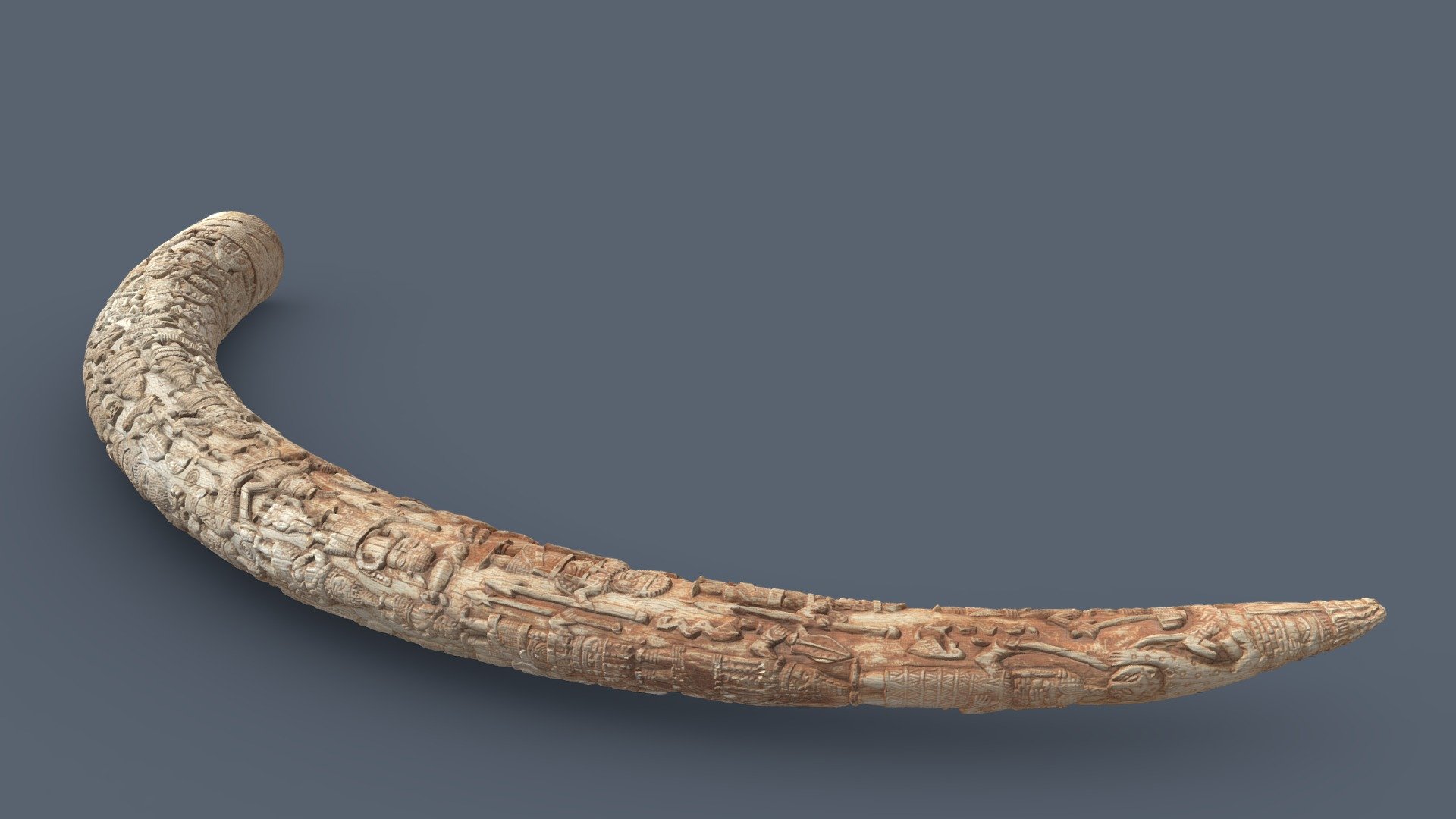 III_C_7638_Elefantenstoßzahn — Sketchfab embed 3D viewer