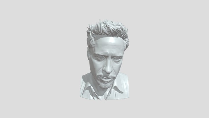 Portrait of a man with goatee and styled hair