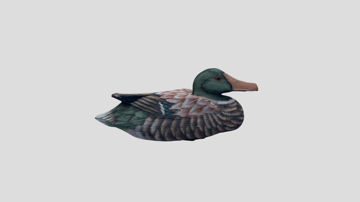 Eend-L-01 3D Model