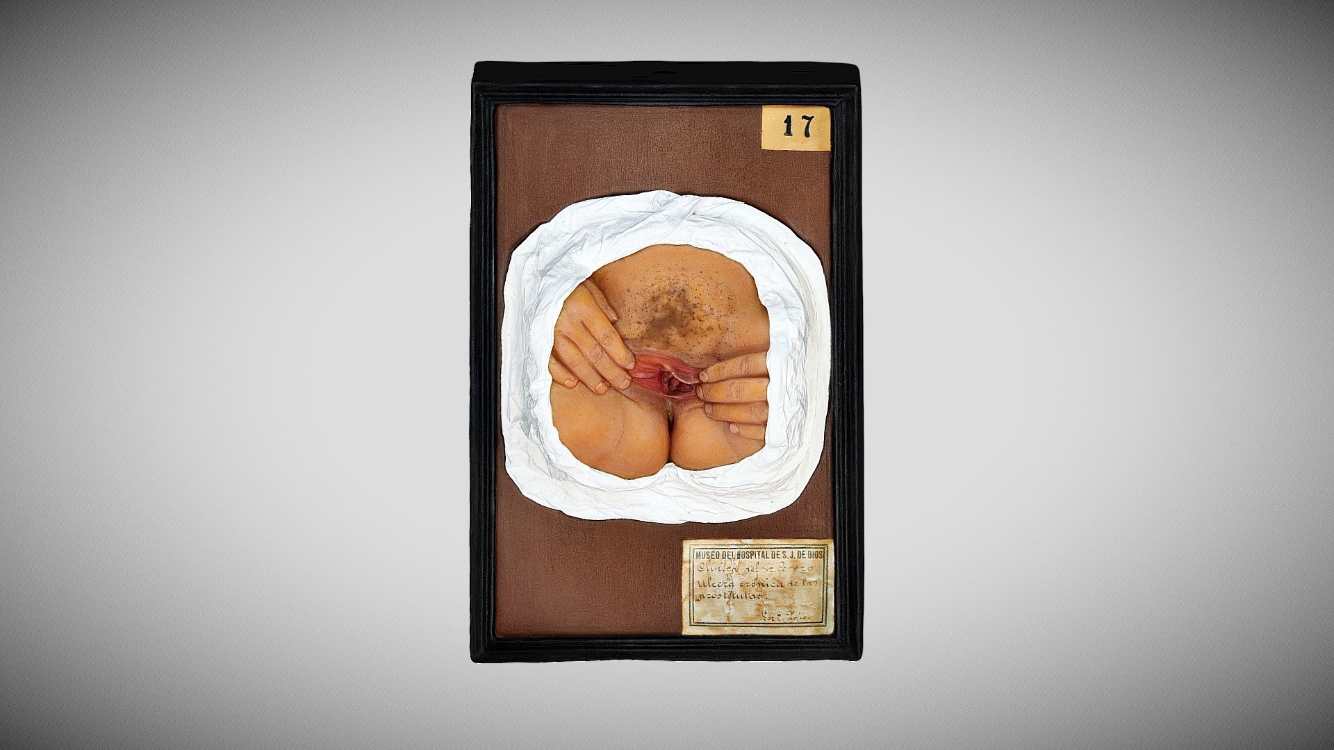 158 - 434 — Sketchfab embed 3D viewer