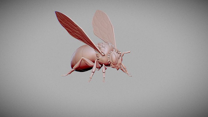 Bee Stylized_ Sculpt_HighPoly_V1 3D Model