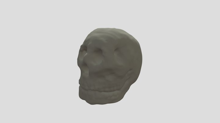 Skull 3D Model