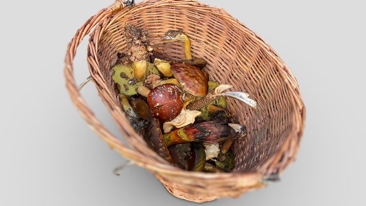 Mushroom basket – Modelo 3D gratuito STL