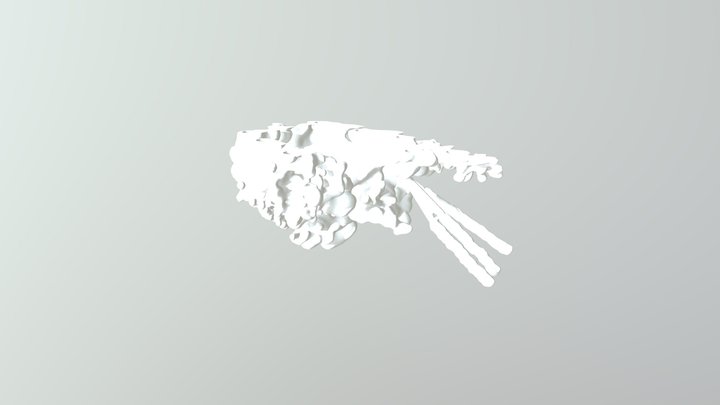 Cassiopeia A - Split Model - top half 3D Model