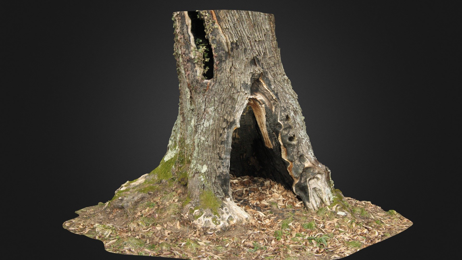 TriziaPa test tree -RAWscan