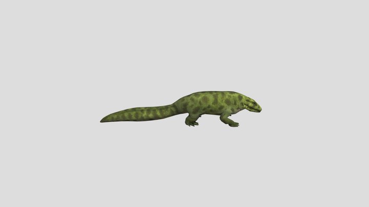 Anthracosaurus | Dinosaur 3D Model