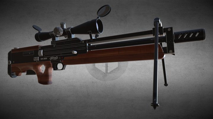 WA2000 3D Model