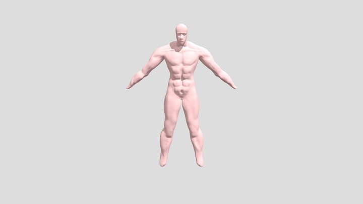 Male Anatomy Sculpt First Attempt 3D Model