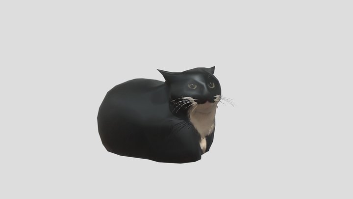 Maxwell Dance 3D Model