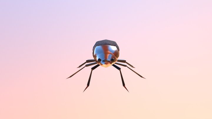 The BUG! 3D Model