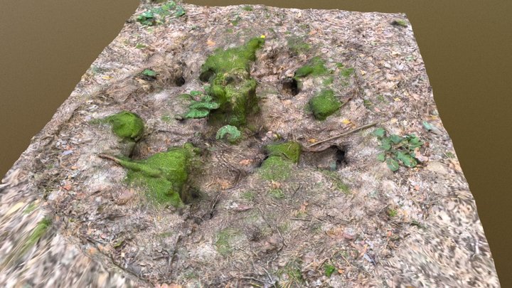 Mousecastle 3D Model