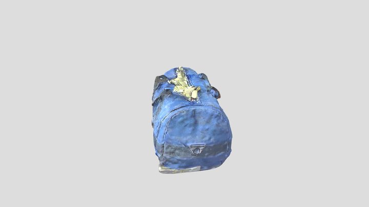 Bag of Money 3D Model