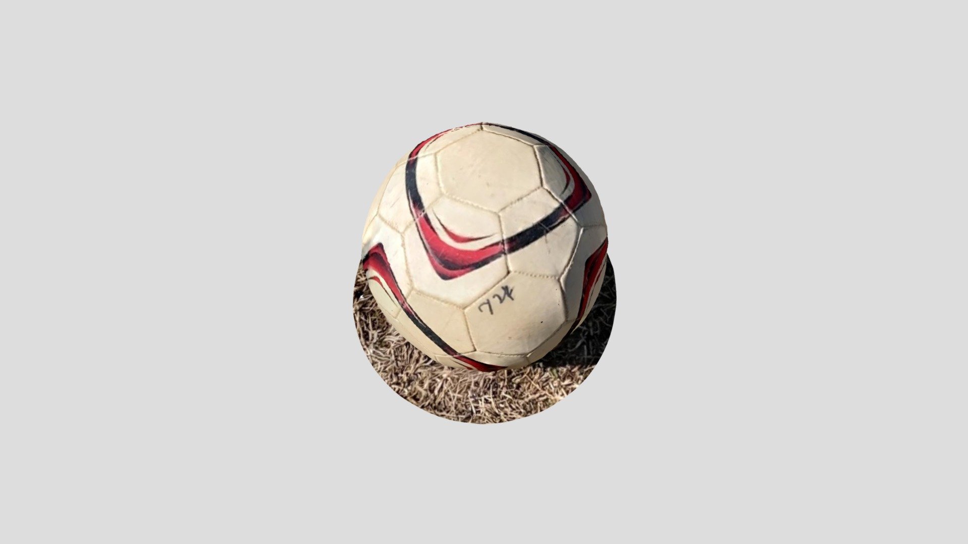 A TRNIO Model