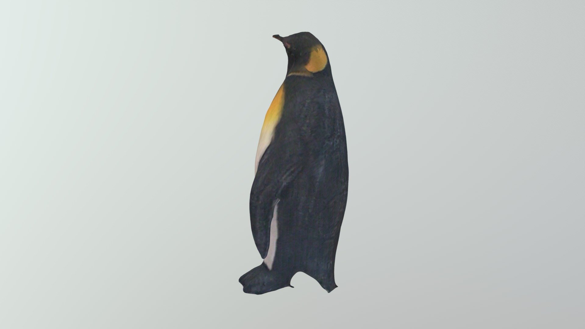 Penguin3-4