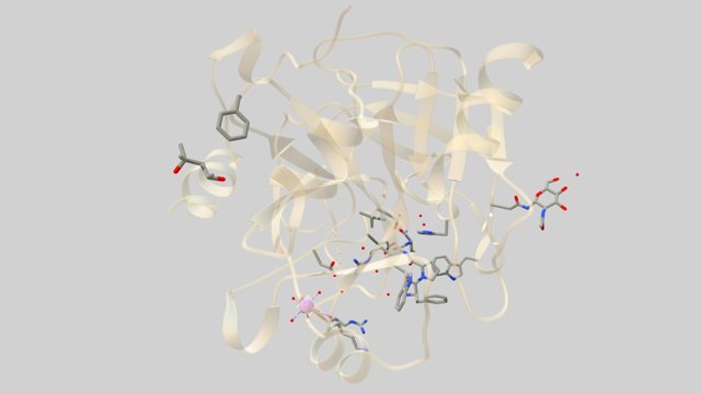 Enoxaparin (Stick Model + Ribbons) 3D Model