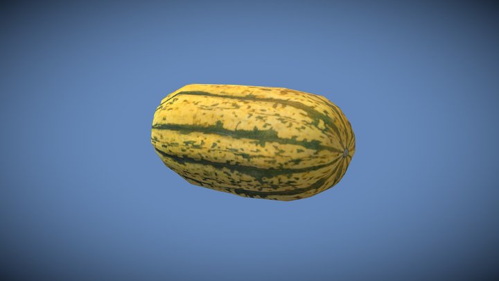 Squash - Mobile ready asset