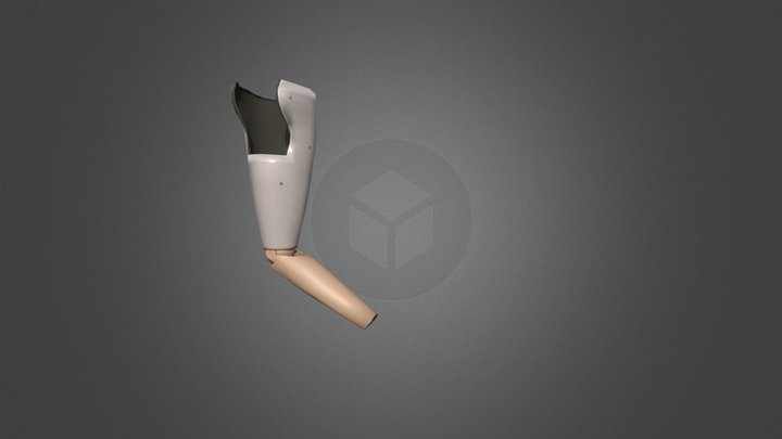 BakeAssignment 3D Model