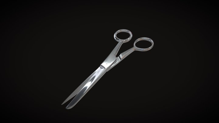 Scissors For Paper 3D Model