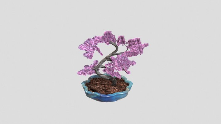 wk8_Yount_Miranda_0031761305 3D Model